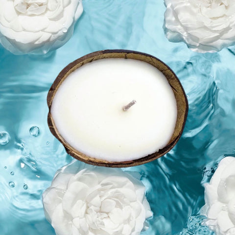 Wax Melts + Candles